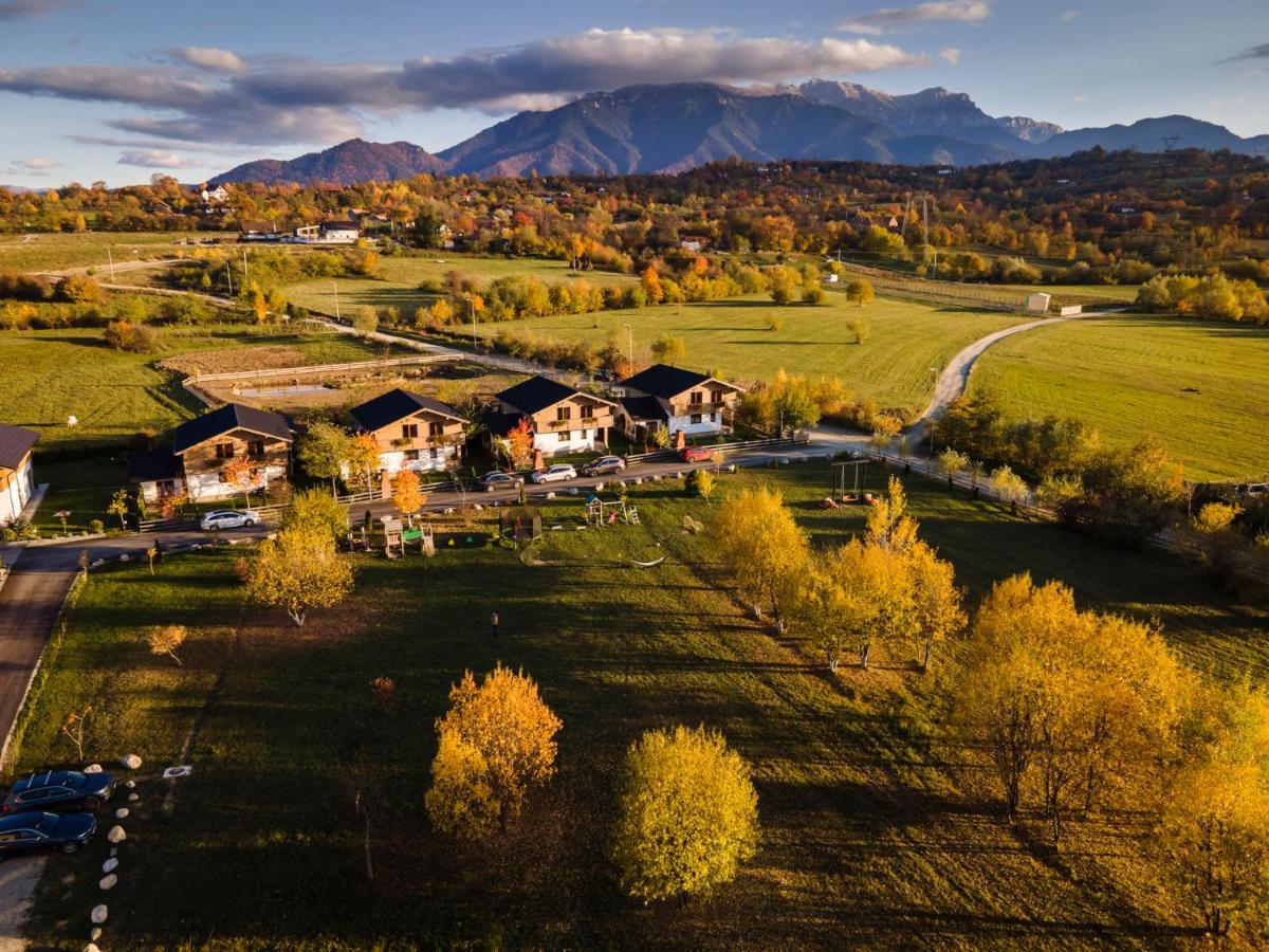 Green Resort Bran Bran  Exteriér fotografie